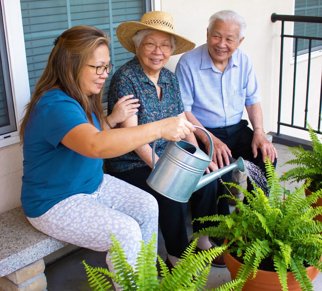 Older man and woman sit on a porch watering potted ferns together in sunlight