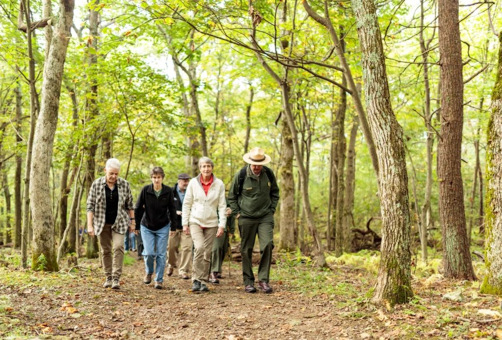 Group of older adults in casual jackets and hats walking together along a sunlit dirt path through green forest