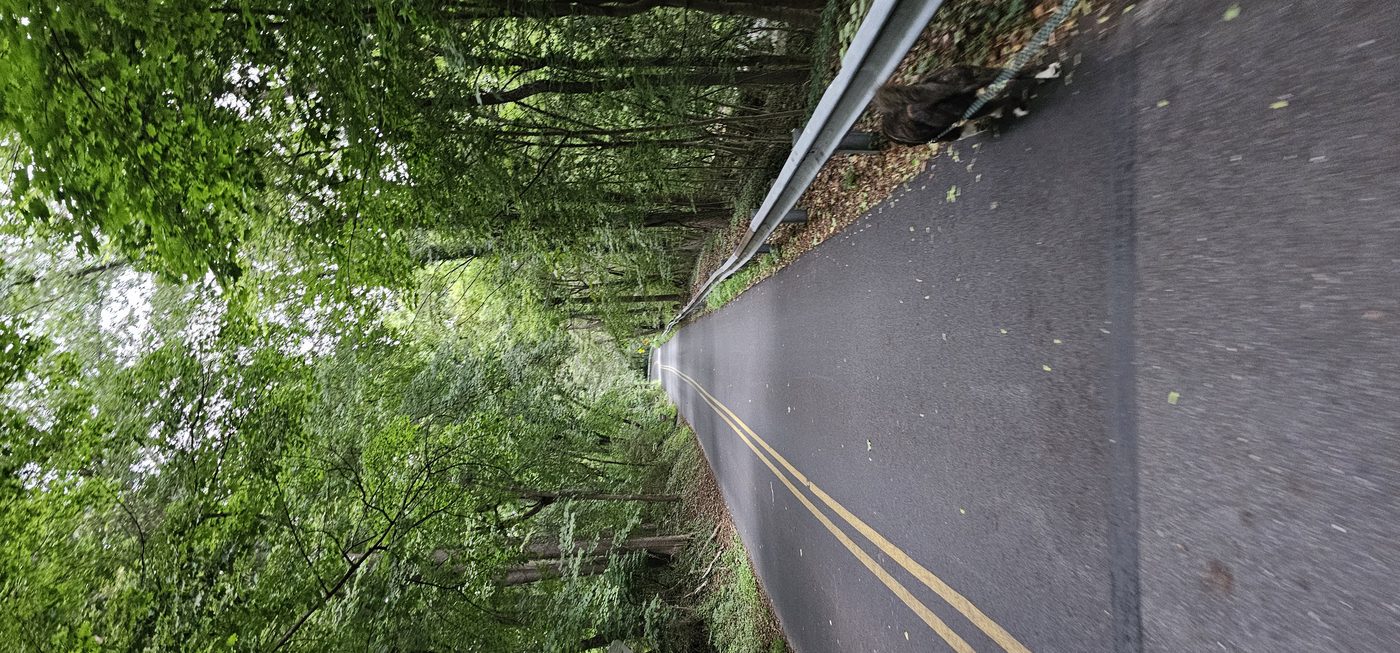 Empty paved path with a yellow center line running straight through a green, tree-lined forest